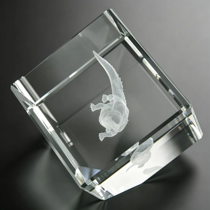 3D Laser Etched Crystal Award Trophy best